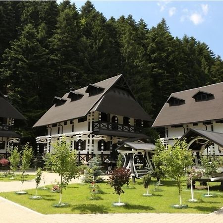 Hotel Complex Lions Bucovina Voroneț Exterior foto