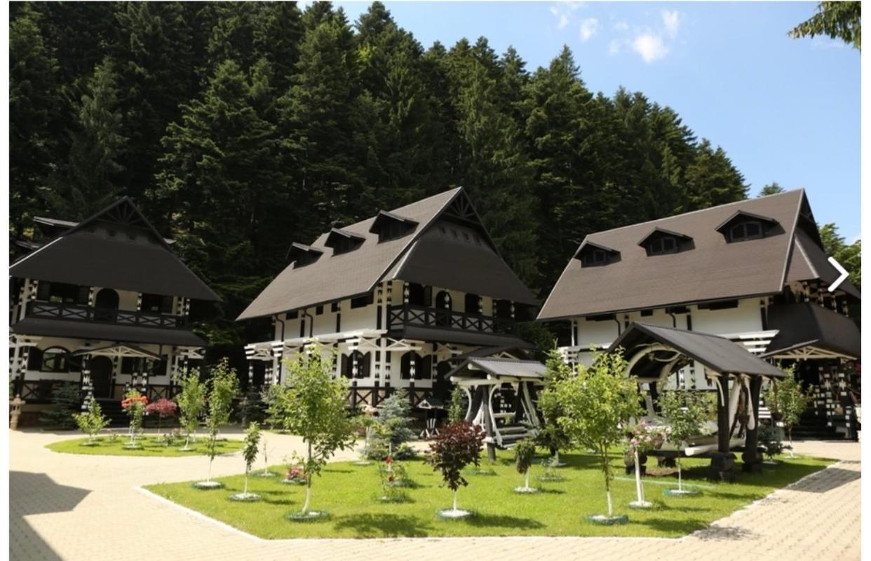 Hotel Complex Lions Bucovina Voroneț Exterior foto