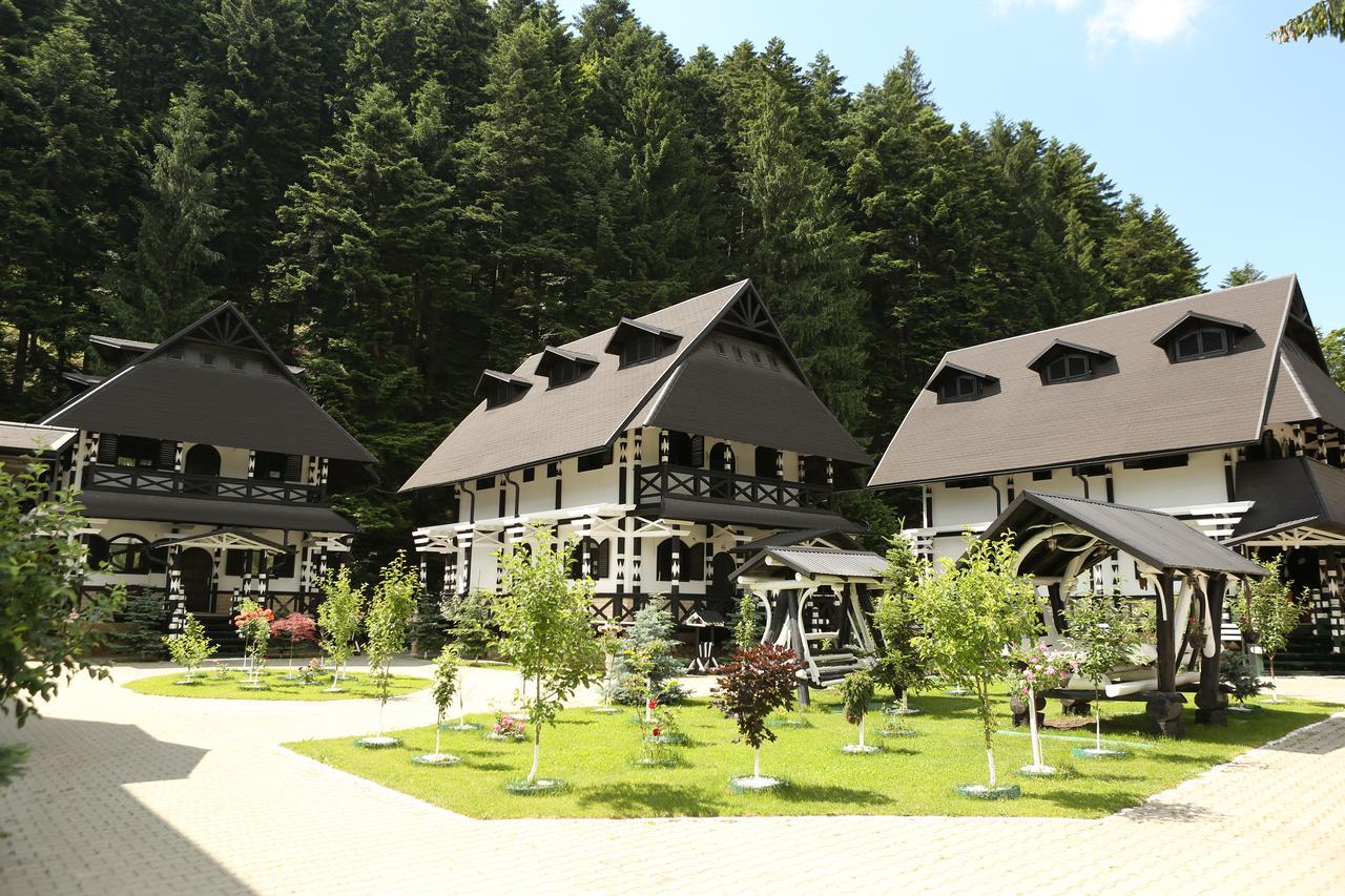 Hotel Complex Lions Bucovina Voroneț Exterior foto